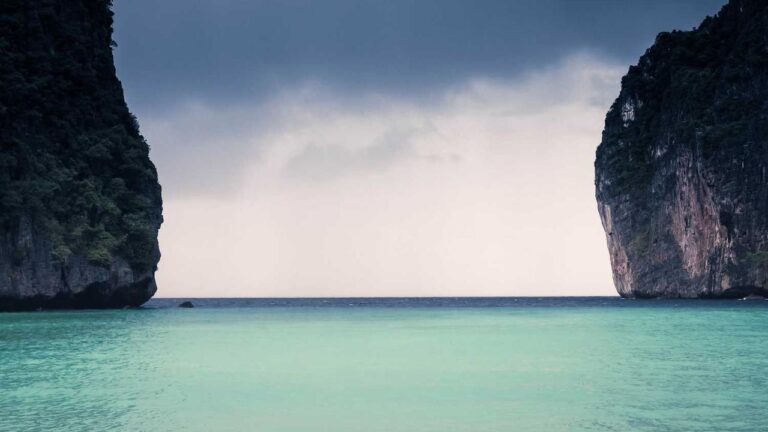 Is The 99Exch Betting App Telugu Version Officially Supported?