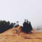 How To Retrieve Gold365 Mahadev Book Login Password?